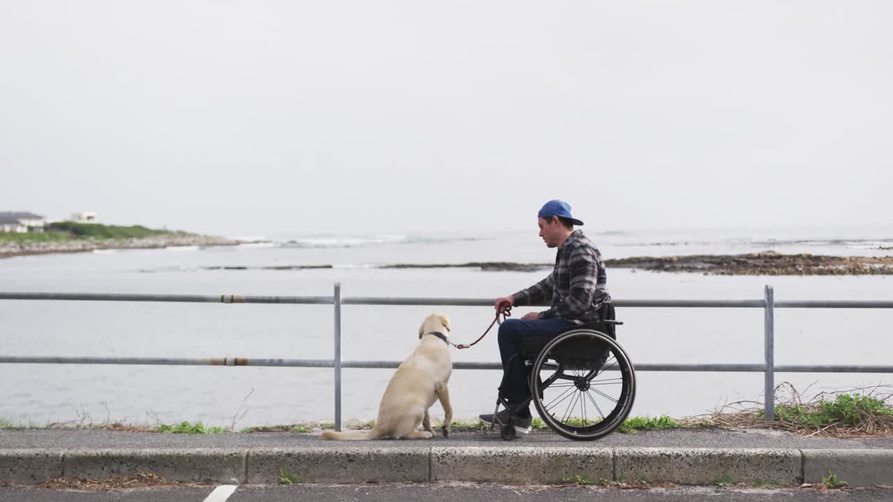 Man in a wheelchair looking at the sea with his dog