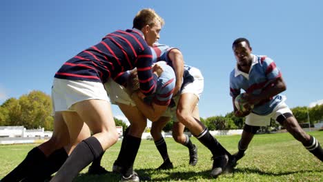 rugby players playing rugby on the field 4k 4k