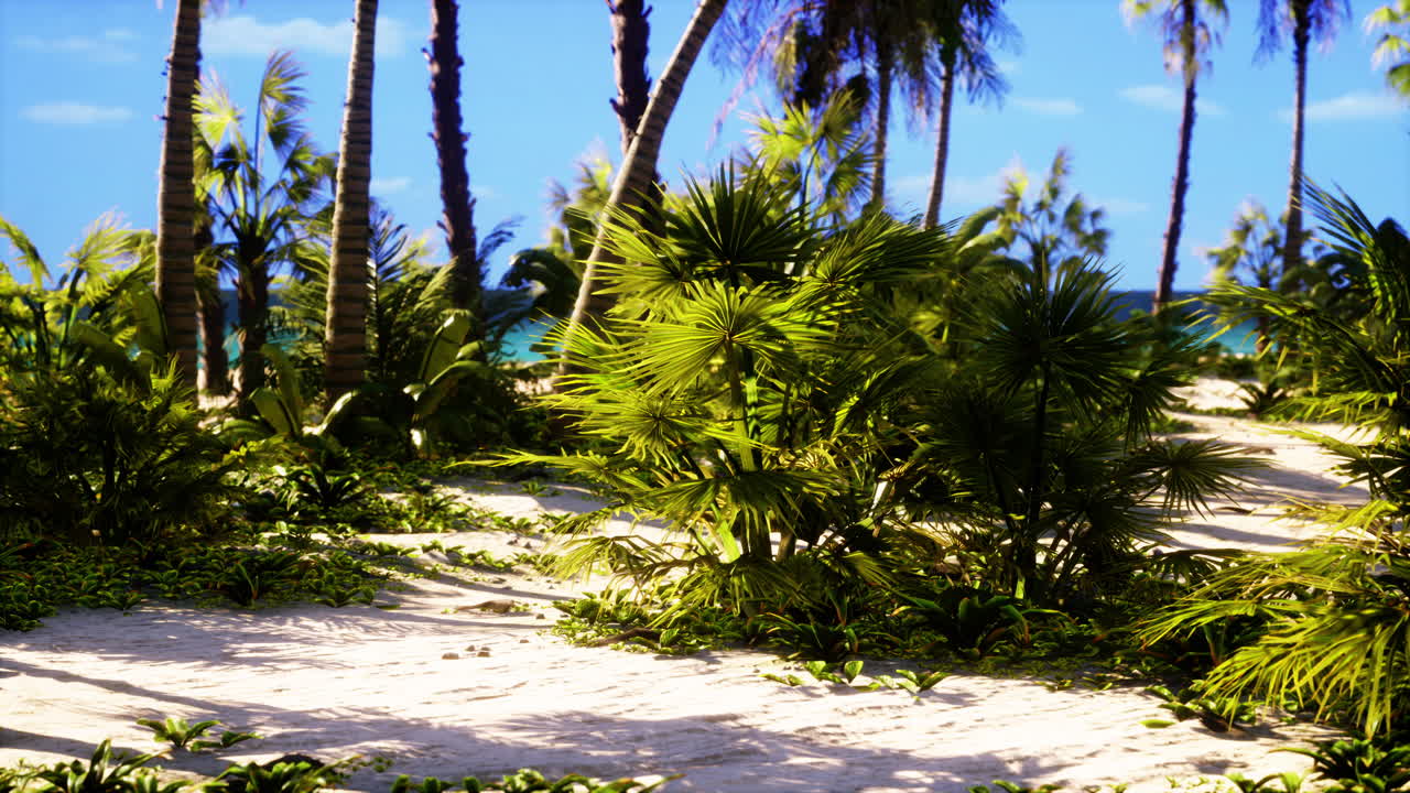 El paraíso de las playas tropicales