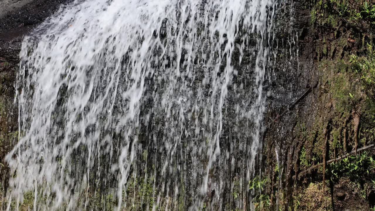 Water flowing down a rocky cliff into a forest