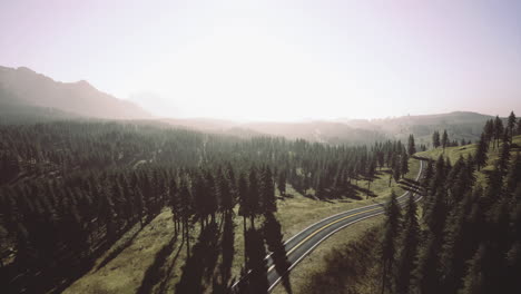 winding road through a tranquil forest landscape at sunrise