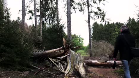 man hiking through a forest with fallen trees