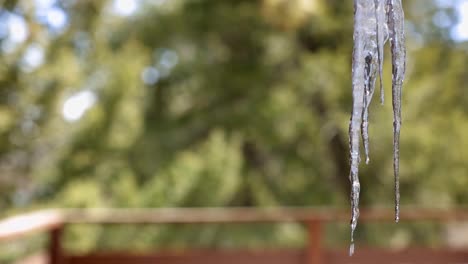 Close-up-view-of-a-group-of-hanging-icicles-on-the-deck-of-a-home-with-water-melting-and-running-down-the-ice-and-dripping-of-the-points