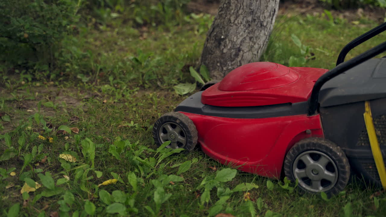 Woman cuts the lawn. Mowing lawns. Mower grass equipment. Mowing gardener cares about the garden in summer.