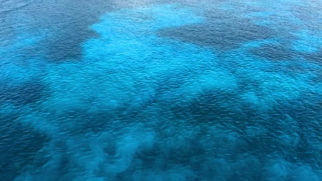 50-feet-of-clear-blue-water-to-the-harbor-floor-and-you-can-see-the-details-of-the-reefs-and-sandbars