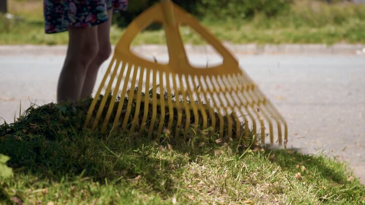 Donna che usa un rastrello per pulire l'erba tagliata durante una giornata estiva di sole - Pulizia stagionale del giardino esterno - ripresa dall'alto.