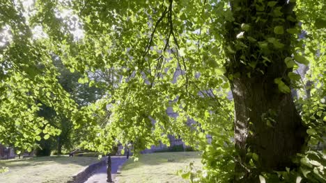 Ein-Ruhiger-Spaziergang-Durch-Einen-Park-Mit-üppigen-Grünen-Bäumen,-Gesprenkeltem-Sonnenlicht-Und-Einem-Malerischen-Weg