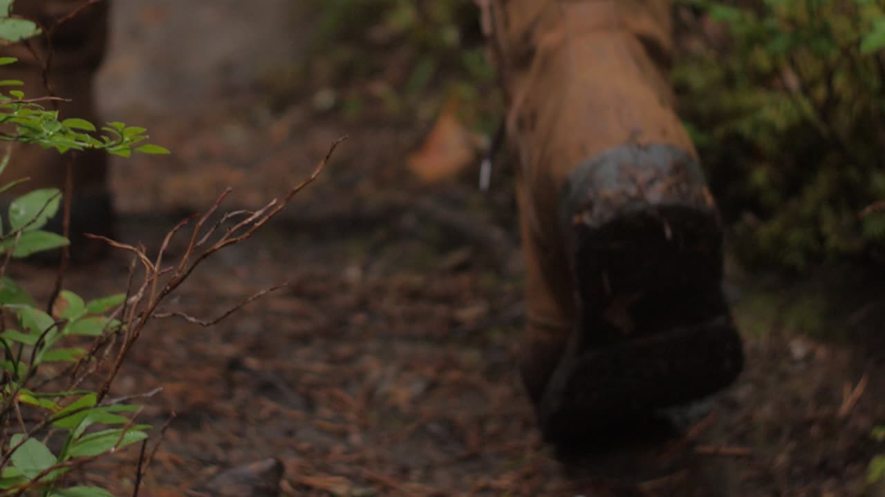 Nærbillede af vandresko i orange læder på en stemningsfuld skovvej, slowmotion