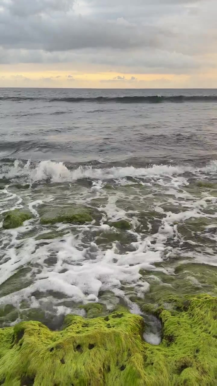 Onde oceaniche che si infrangono su rocce verdi e muschiose al tramonto