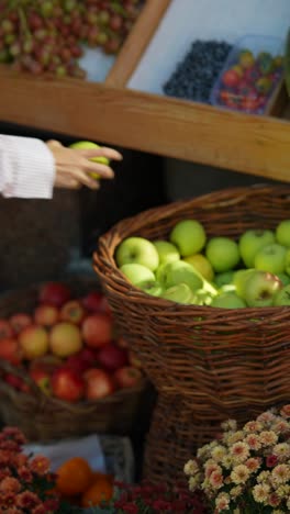 fresh fruits and vegetables at a farmers market