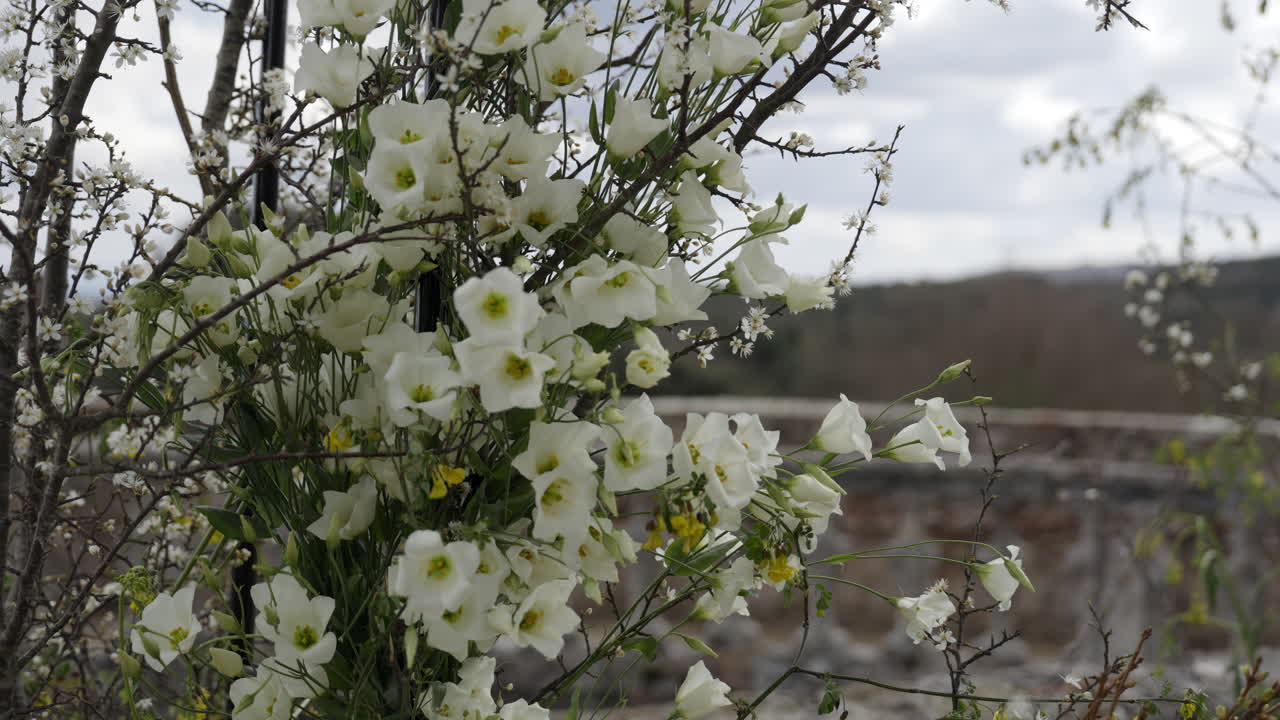 White Floral Arrangement
