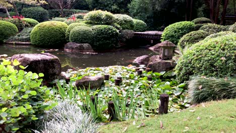 meditative colourful zen-like japanese gardens