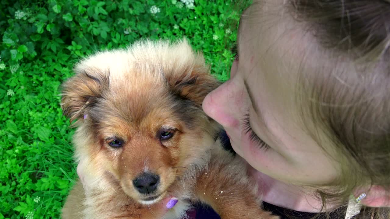 아름다운 어린 소녀 행복한 작은 개를 들고 놀고