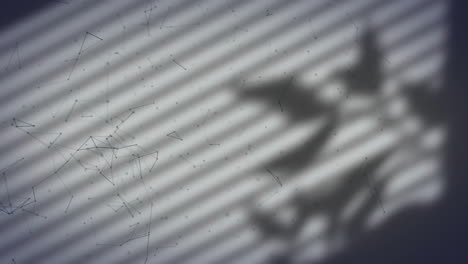 creating abstract pattern, plant shadow and green lines over striped surface