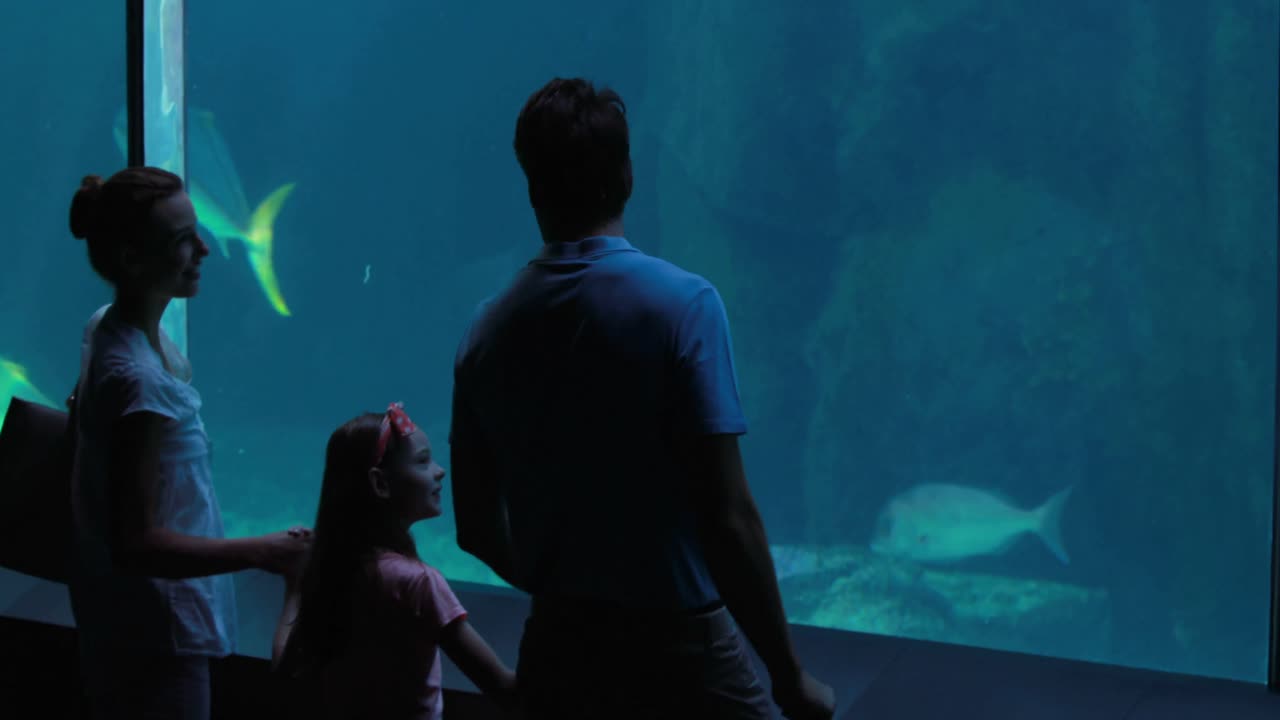 familia mirando un tanque de peces