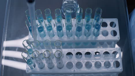 tubos de ensayo con líquido azul en un estante