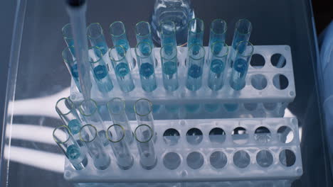 test tubes with blue liquid in a rack