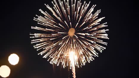 espectáculo de fuegos artificiales coloridos por la noche