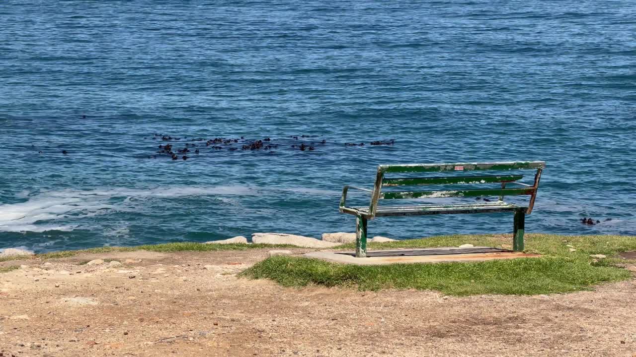 En bænk med udsigt over havet. Camps Bay, Cape Town, Sydafrika