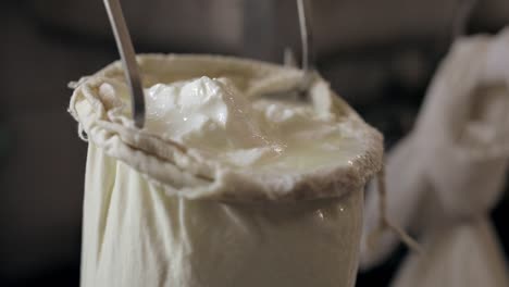 fresh cottage cheese during production