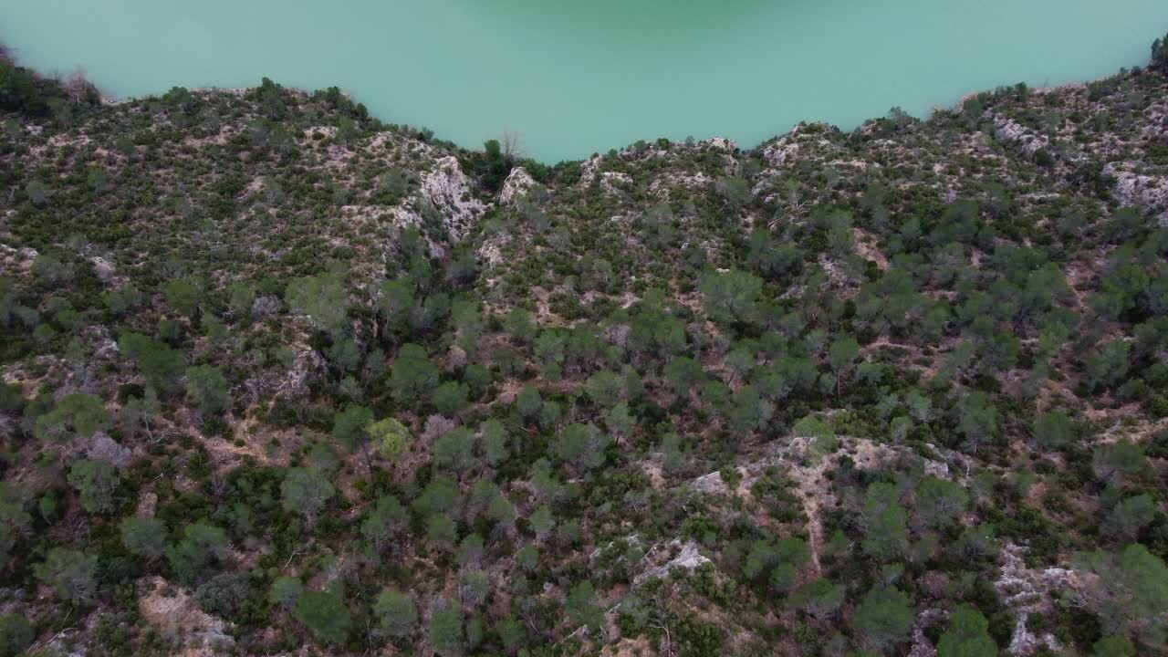 Discesa con drone 4K su una ripida scogliera ricoperta di pini che rivela il fiume Júcar turchese sulla riva in Castiglia-La Mancia, Spagna. Veduta aerea cinematografica della natura mediterranea aspra.