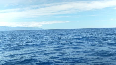 Bottlenose-dolphin-jumping-in-vast-rough-ocean-close-to-in-Tenerife