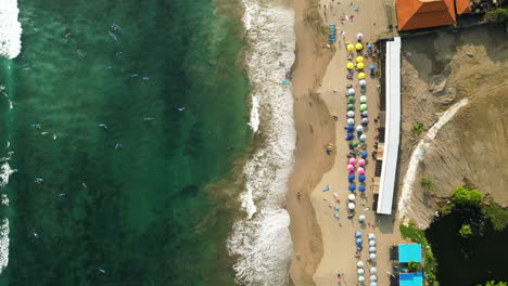 Aerial-top-down-shot-of-many-surfer-on-waves-in-ocean-and-resting-people-on-sandy-beach-in-Batu-Bolong,-Bali