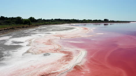 Die-Historische-Stadt-Aigues-mortes-Mit-Einem-Vogel,-Der-über-Einem-Rosa-Salzsee-Davonfliegt