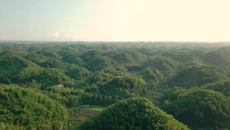 Vogelperspektive-Auf-Den-Typischen-Grünen-Wald-Und-Die-Hügel-Der-Region-Wonosari-In-Indonesien-Am-Morgen