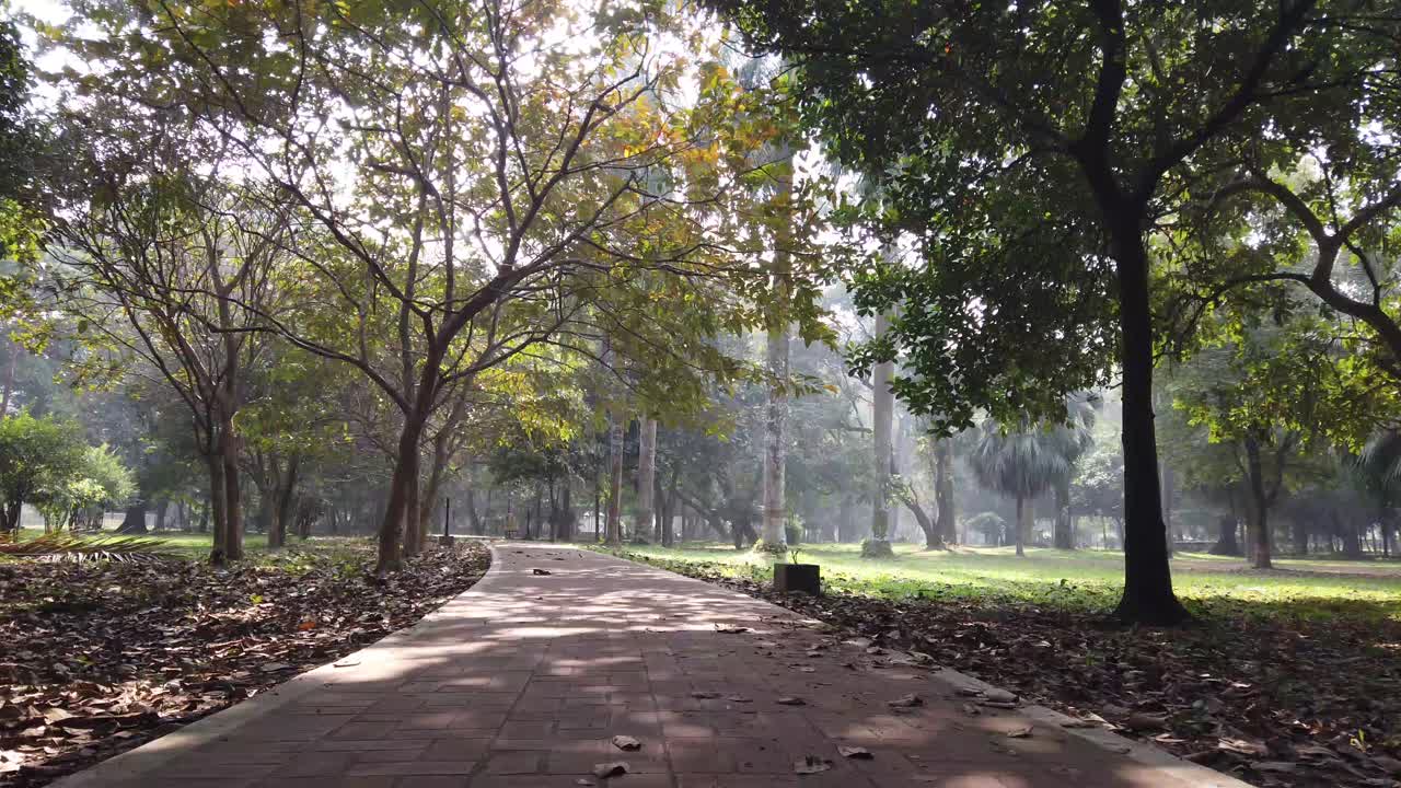 camino del parque en un día soleado