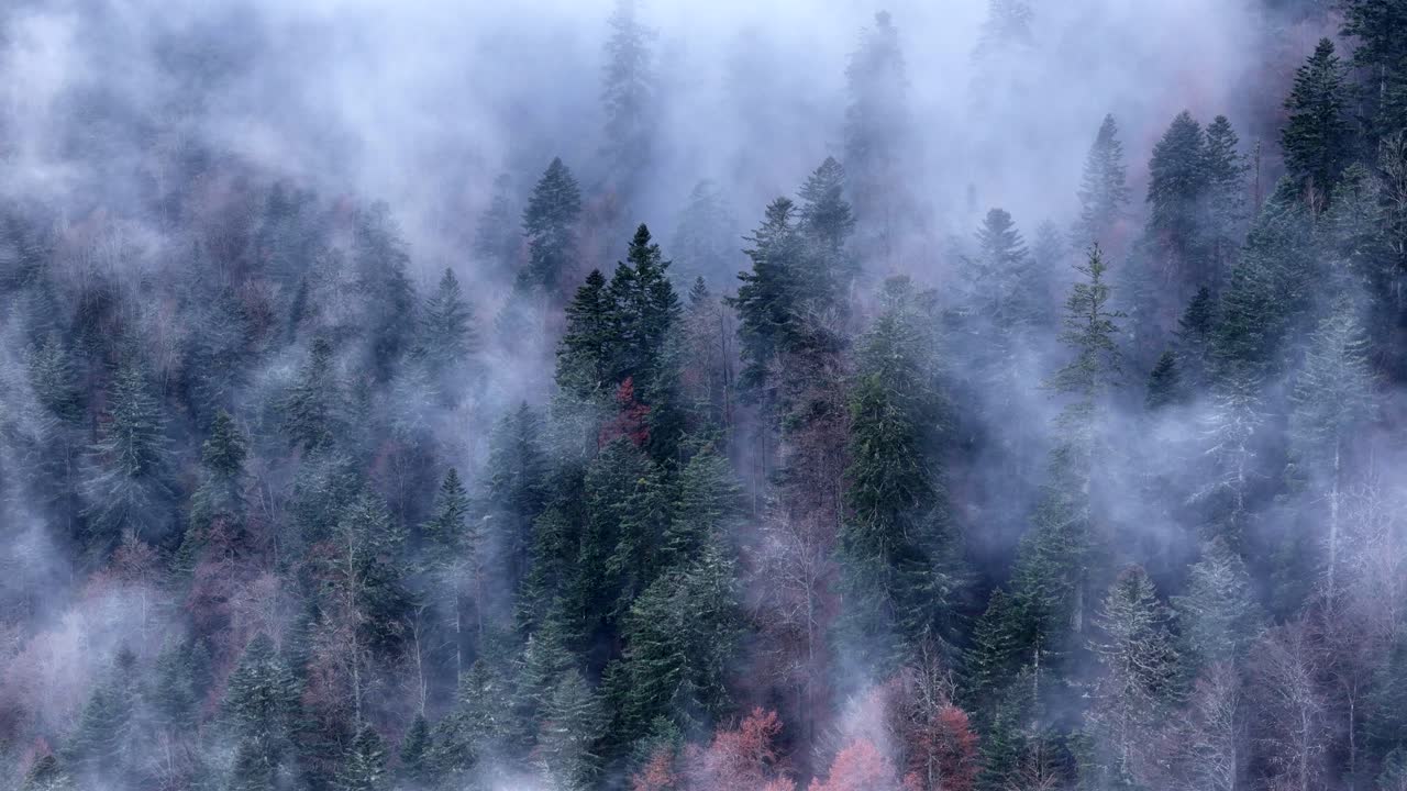 Aerial over a super moody dark and cold forest with fast moving clouds in 4K