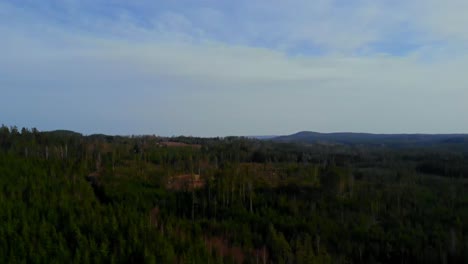 drone shot panning over some woods in sweden