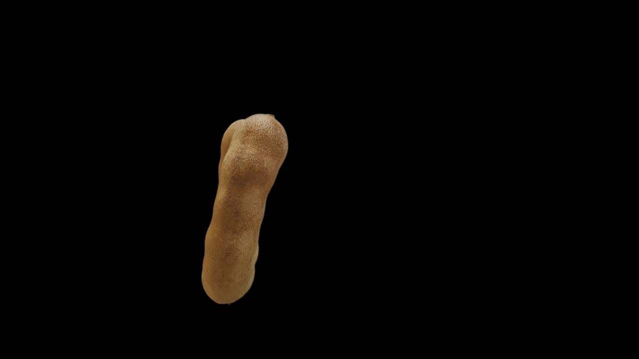 Realistic Tamarind Rotating With Alpha Channel, Video In 4K