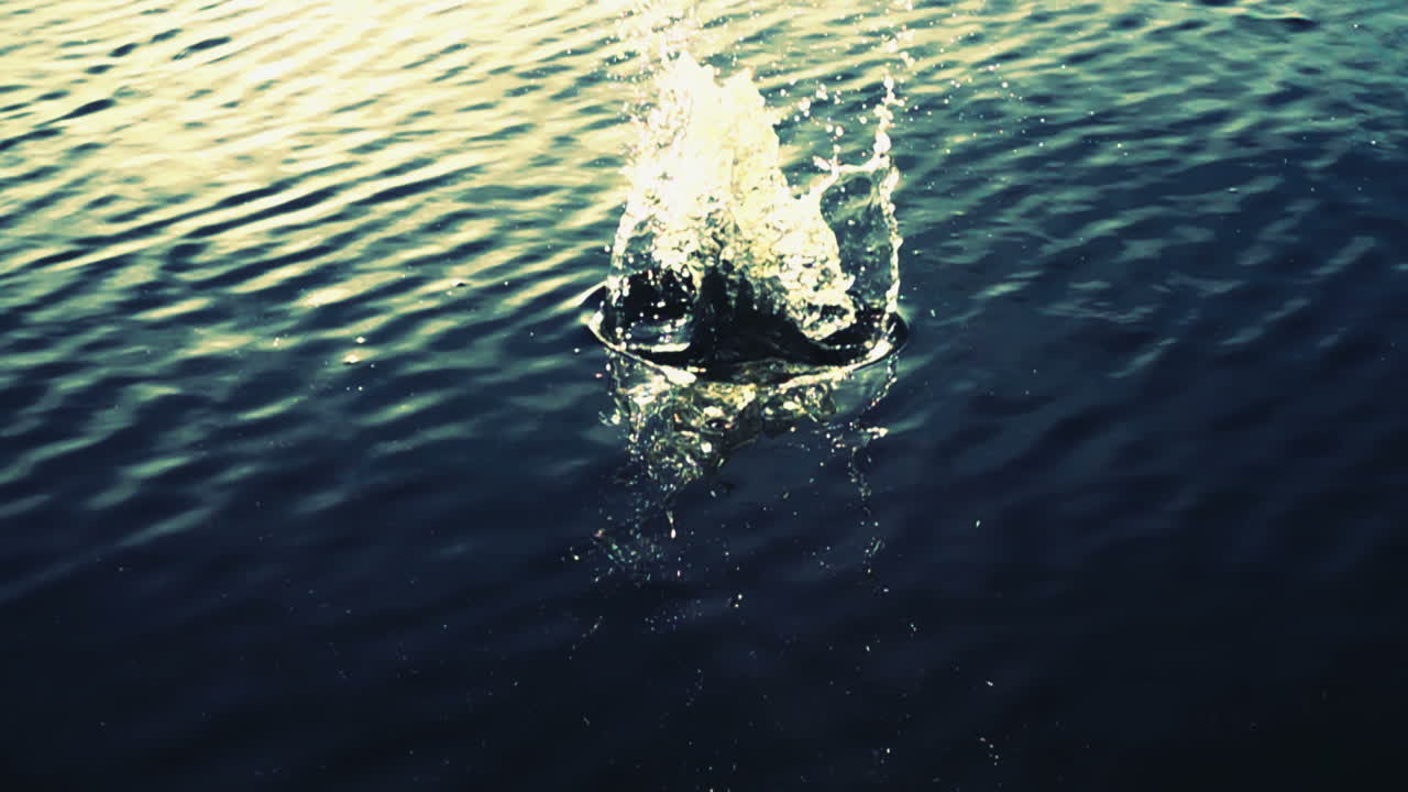 The stone falls in water.Slow Motion