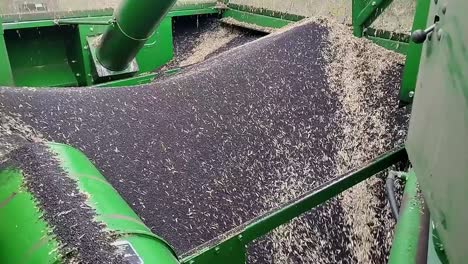 combine harvester harvesting seeds in a field