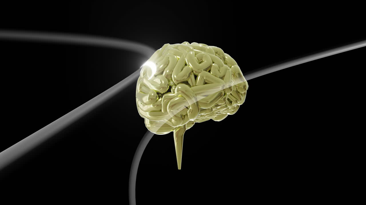 연결을 통해 회전하는 디지털 뇌의 애니메이션