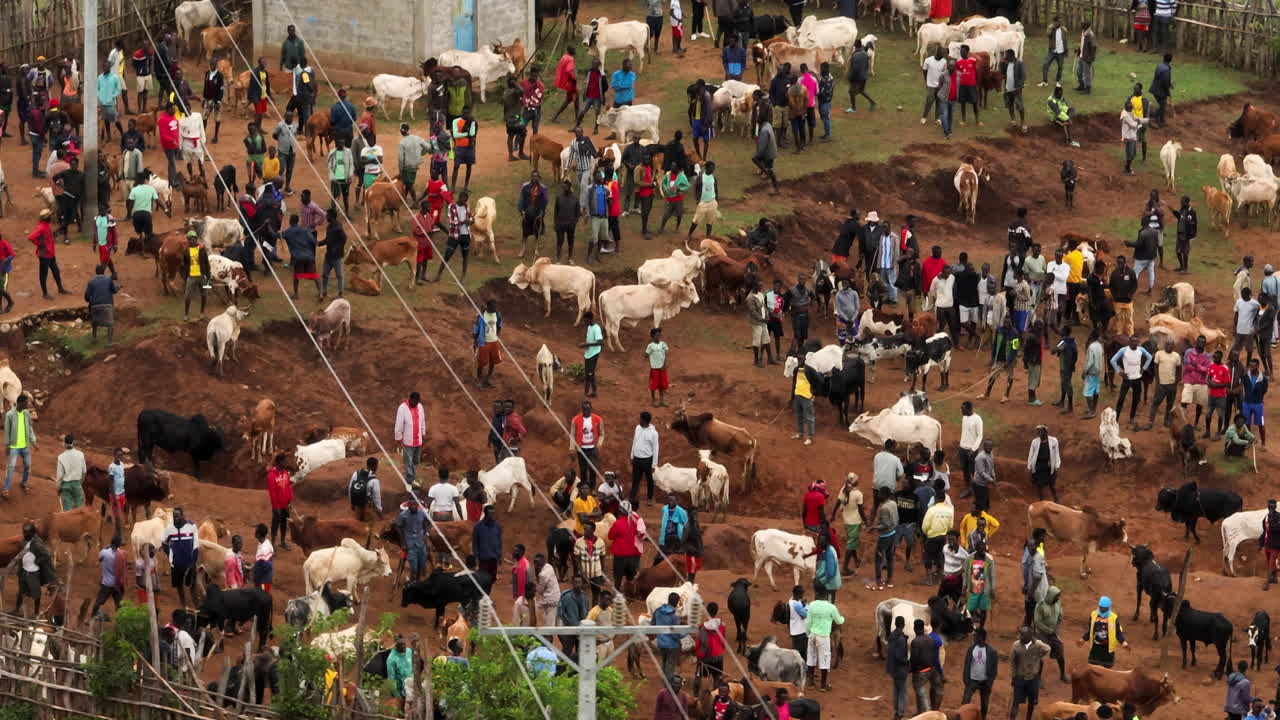 Livestock penned in tribal market in Kako from above