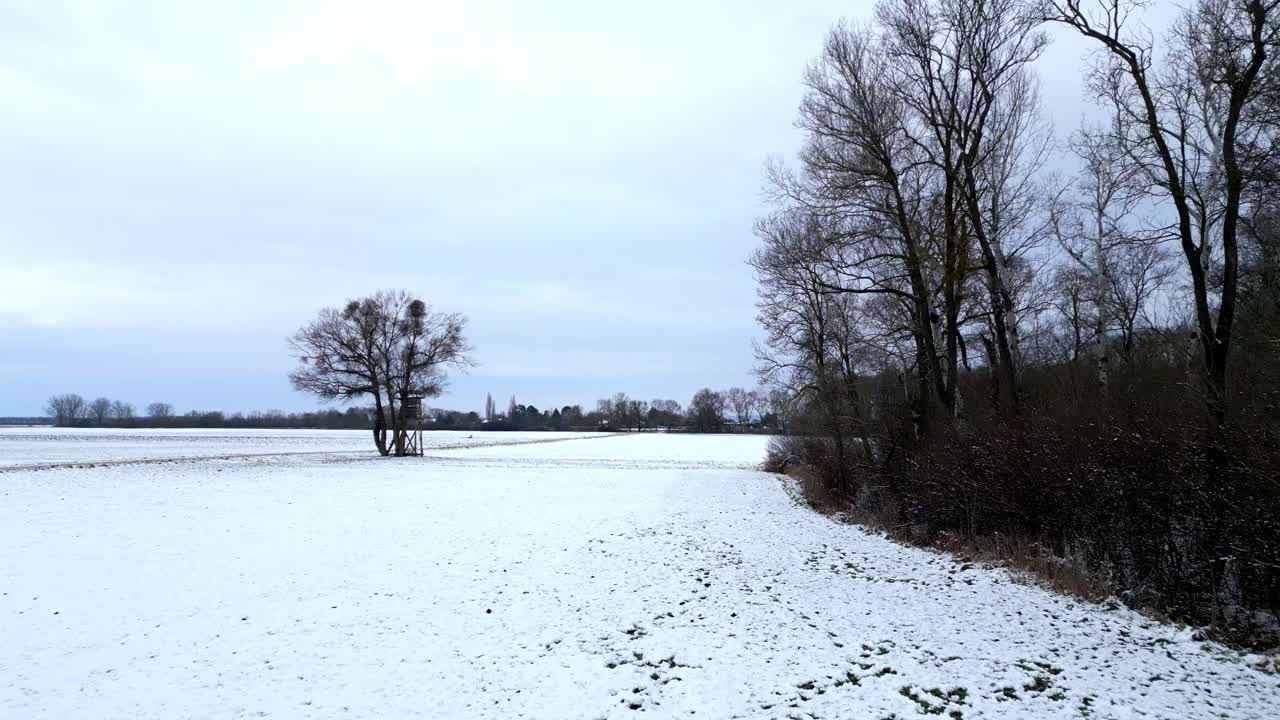 흐린 날 숲에 벌거벗은 나무가 있는 겨울 풍경