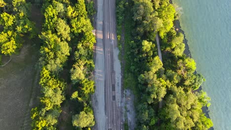 Eisenbahn-Umgeben-Von-Bäumen-Neben-Dem-Fluss