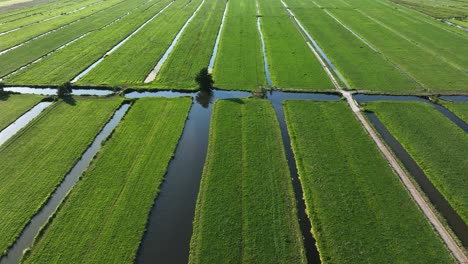 Luftdrohnenaufnahme,-Die-An-Einem-Warmen-Sommertag-über-Die-Wasserstraßen-Der-Holländischen-Polderfarm-Fliegt