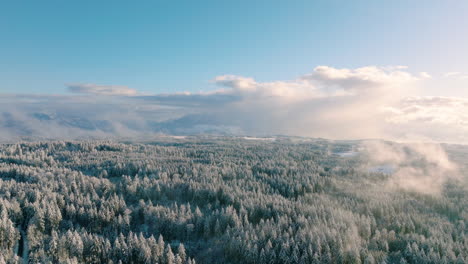 Panoramic-View-On-Snowy-Coniferous-Forest-In-Jorat,-Lausanne,-Vaud-Switzerland---aerial-drone-shot