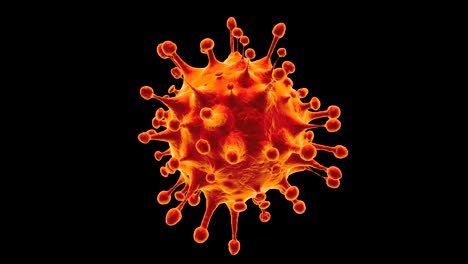 coronavirus disease covid-19 outbreak