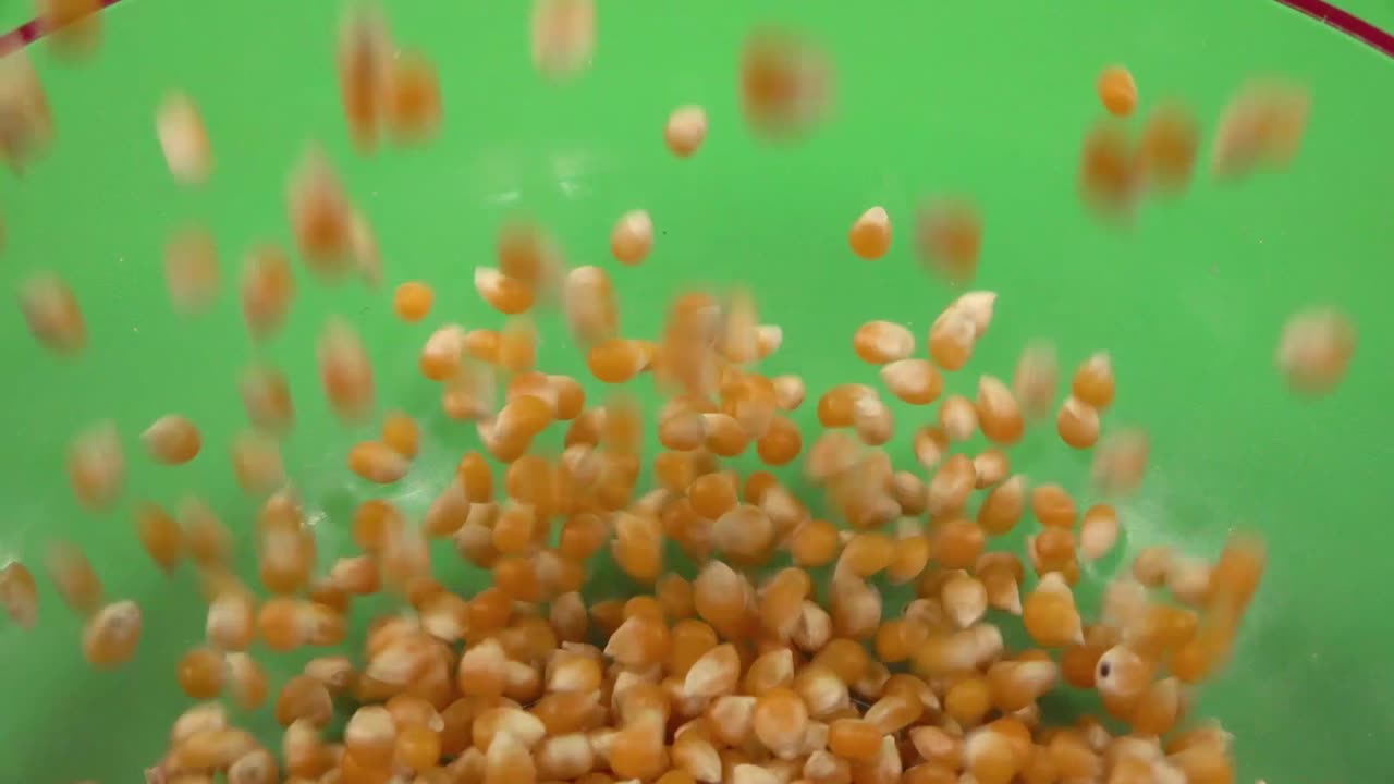 크로마 배경에서 투명한 접시에 떨어지는 옥수수 커널