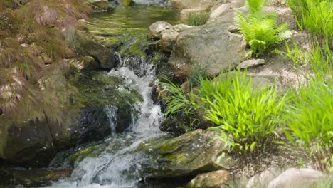 a miniature stream rolls its waters over the rocks in the meditation garden