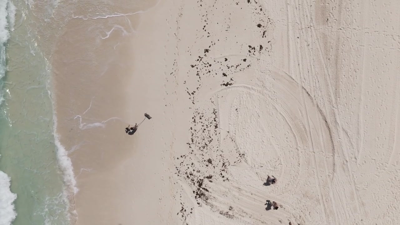 Brief aerial clip of family walking their dog along the shoreline, Mexico