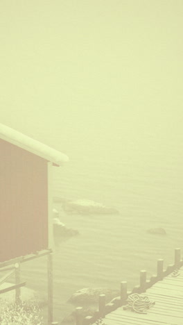 red shed by the sea in winter