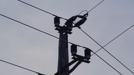 close-up of an electricity pylon at sunrise.