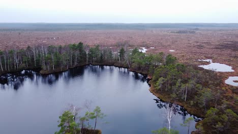 aerial birdseye view of dunika peat bog with small ponds in overcast autumn day, wide high altitude drone shot moving backwards