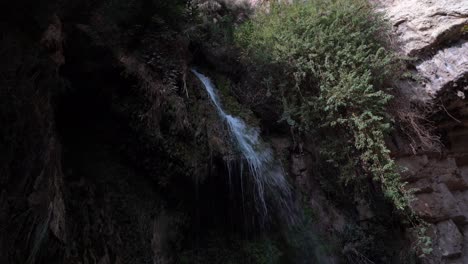 Cascada-En-Su-Gedi-Y-Gedi-Israel