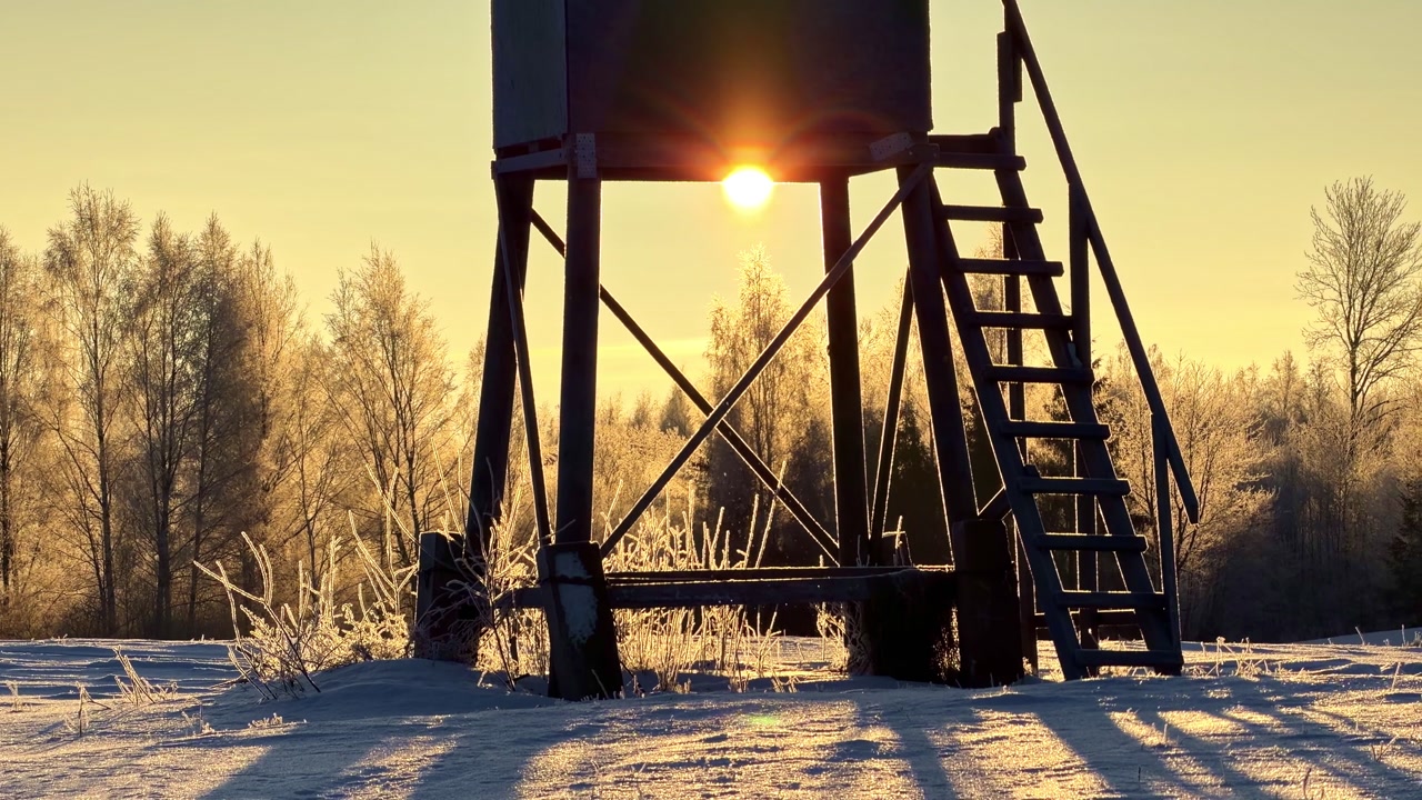 Winter sunrise behind a raised hunting tower with ladder, casting long shadows across snowy ground and frosted trees in a calm rural landscape.